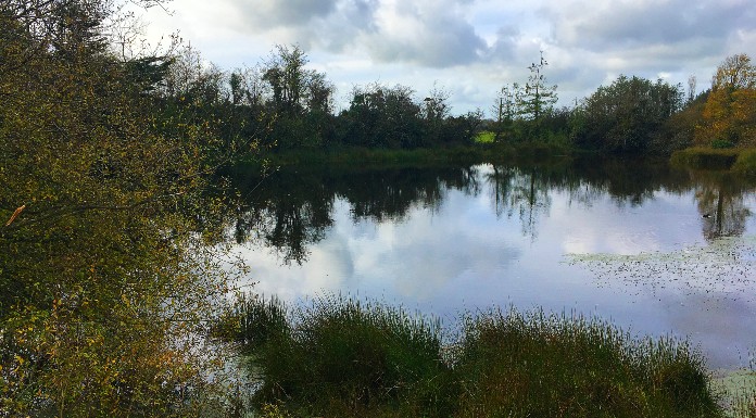 The loch or lake in Skeheenarinky. It's the lake on which some believe a sceach (bush) floated, appearing to dance on the water. Thus giving its name to Skeheenarinky. | Photo (c) Tipp FM/MaryAnn Vaughan