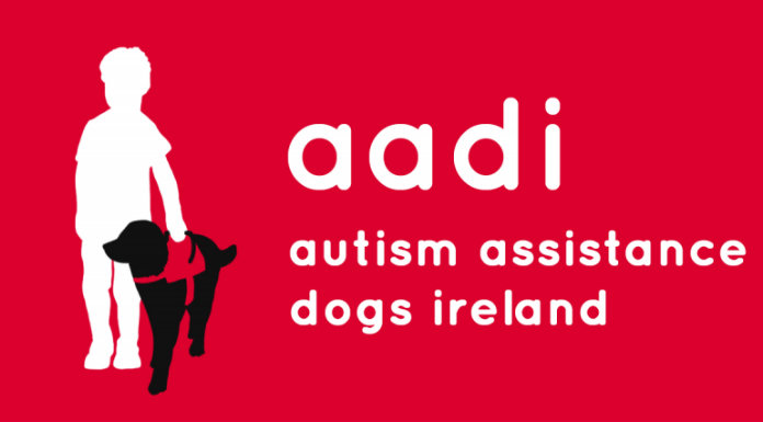 Photo © Autism Assistance Dogs Ireland