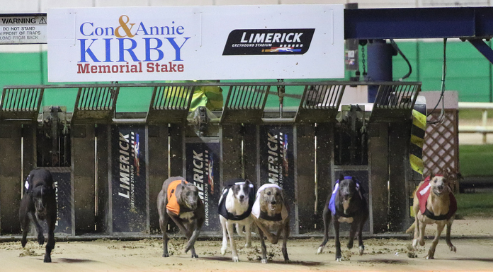 Con and Annie Kirby Memorial Final, photo from Greyhound Racing Ireland.