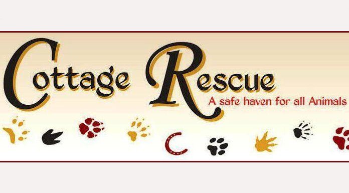 Photo from Cottage Rescue Facebook page