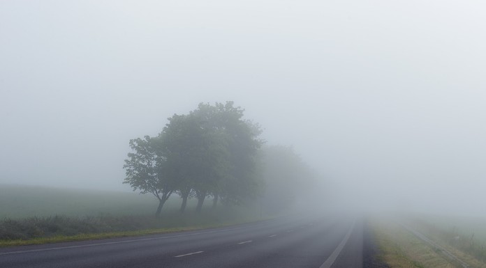 Foggy driving conditions. Photo: Pixabay