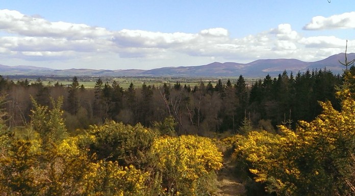 Golden Vale - view from the Galtees towards the Knockmealdowns
Photo © Tipp FM
