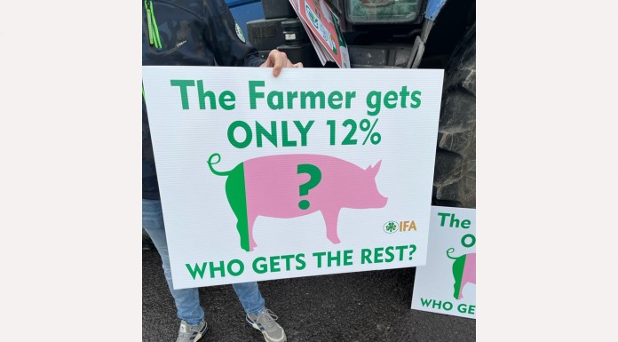 IFA Pig Protest