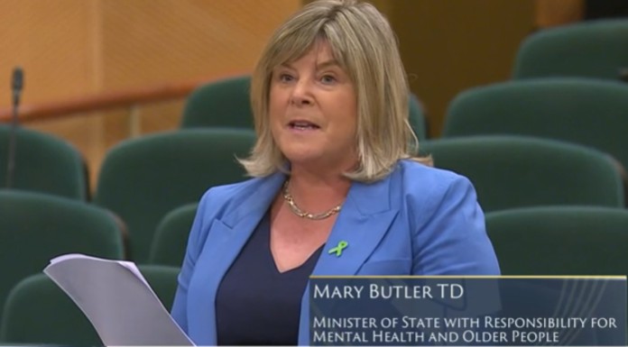 Minister of State, Mary Butler. Photo: Houses of the Oireachtas.