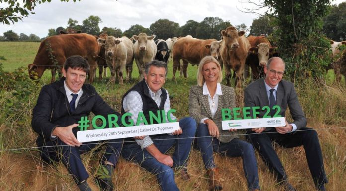 The National Organic Beef Open Day will take place on 28 September on the farm of John Purcell, Co Tipperary.

Pictured at the launch of the open day (L to R) were: Joe Burke, Bord Bia; John Purcell, Host Farmer; Senator Pippa Hackett, Minister of State at the Department of Agriculture, Food and the Marine and Dr Stan Lalor, Director of Knowledge Transfer, Teagasc