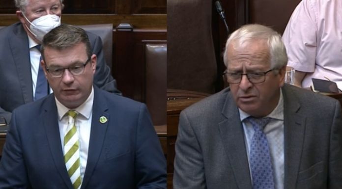 Tipperary TDs Alan Kelly & Mattie McGrath © Houses of the Oireachtas / canva.com