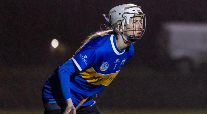 Nicole Walsh in goals for the Tipperary senior camogie team. Photo from Marty Ryan/Sportsfocus via Canva.com.