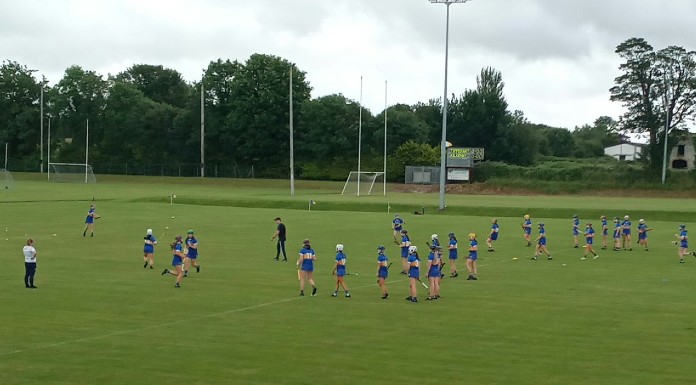 Tipperary Under 16 A Camogie team V Kilkenny, July 2021. Photo: Tipperary Camogie Twitter.