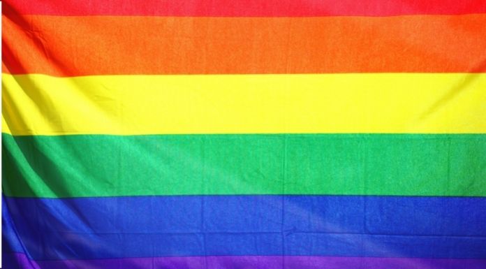 LGBTQ+ rainbow flag. Photo by Sharon McCutcheon via canva.com