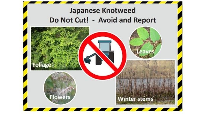 Signage from Tipperary County Council warning people not to cut Japanese knotweed. Image courtesy of Tipperary County Council.