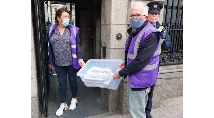 Jane Jones and Séamus Healy delivering the petition to save St Brigid's to the Dáil. Photo courtesy of the Save St Brigid's Action Group.