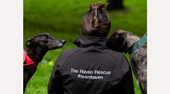 Photo from The Haven Rescue Facebook page